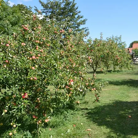 ホテル Orchard & Wolds Restaurant スカーバラ