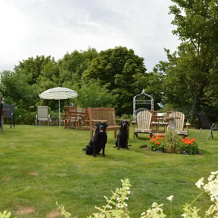 Orchard 5*