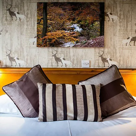 Orchard 5* Cayton