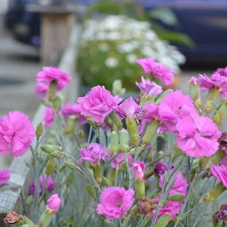 Hotel Orchard & Wolds Restaurant Cayton