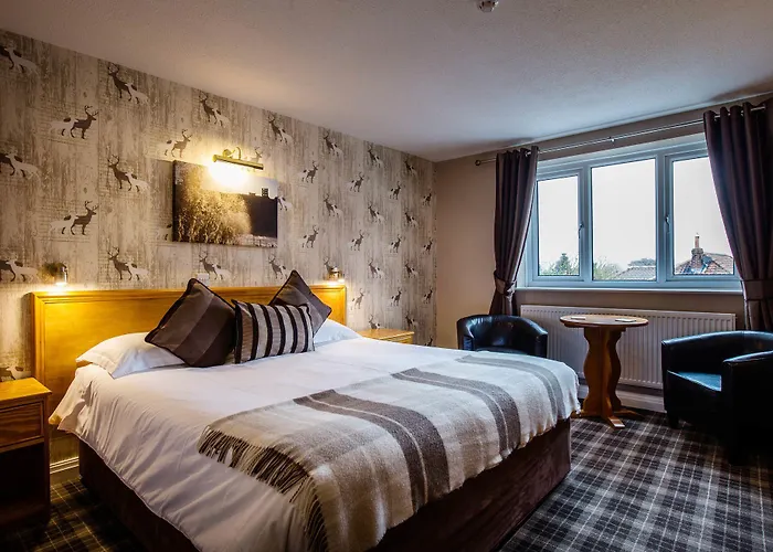 Hotel Orchard Cayton