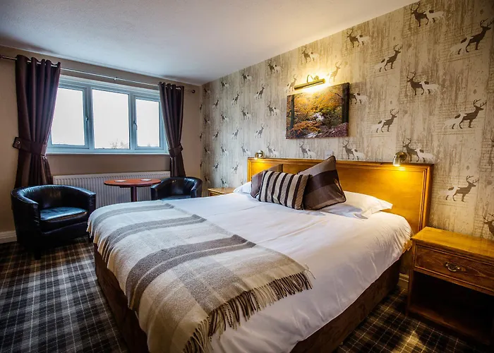 Orchard Hotel Cayton