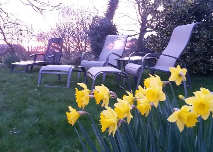 Orchard Hotel Cayton